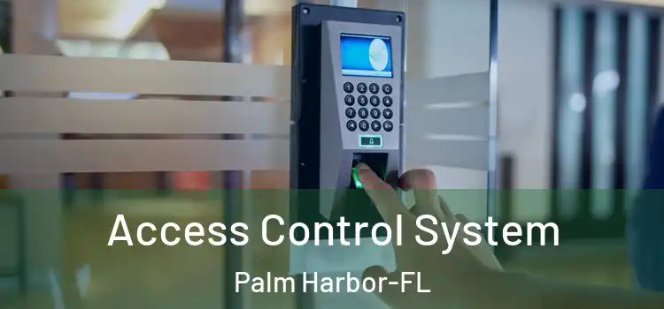 Access Control System Palm Harbor-FL