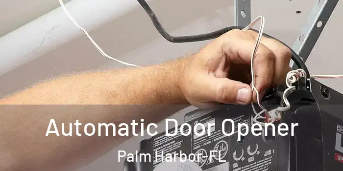 Automatic Door Opener Palm Harbor-FL