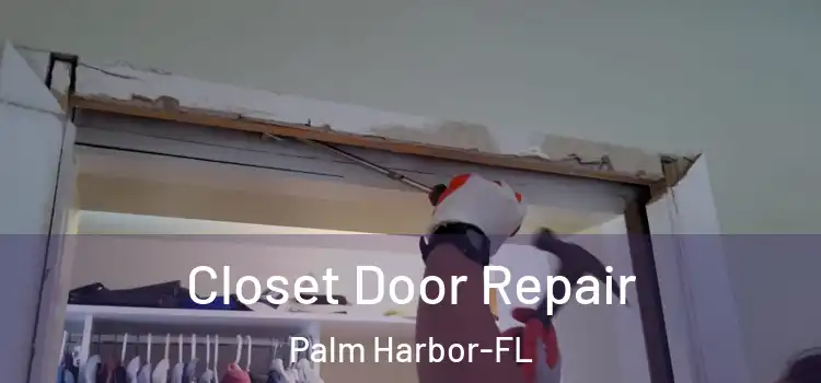  Closet Door Repair Palm Harbor-FL