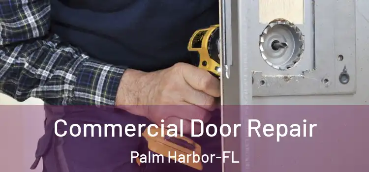 Commercial Door Repair Palm Harbor-FL