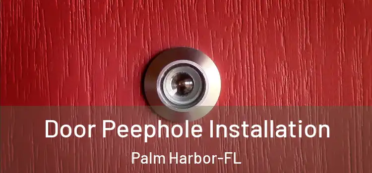  Door Peephole Installation Palm Harbor-FL