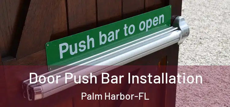  Door Push Bar Installation Palm Harbor-FL