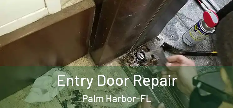  Entry Door Repair Palm Harbor-FL