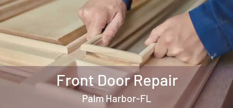  Front Door Repair Palm Harbor-FL