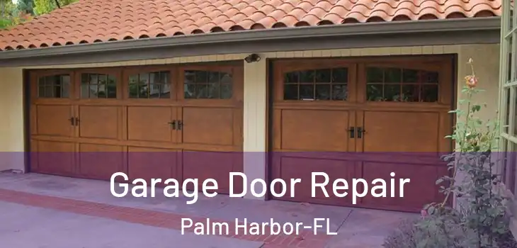  Garage Door Repair Palm Harbor-FL