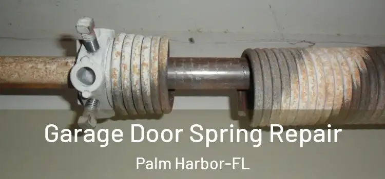  Garage Door Spring Repair Palm Harbor-FL