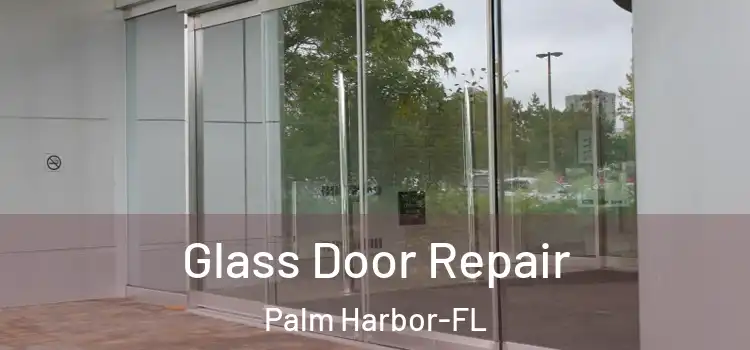  Glass Door Repair Palm Harbor-FL