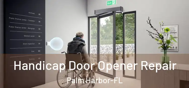  Handicap Door Opener Repair Palm Harbor-FL