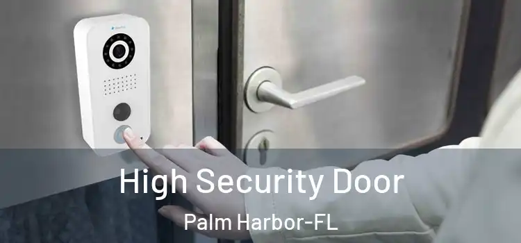  High Security Door Palm Harbor-FL