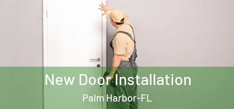  New Door Installation Palm Harbor-FL