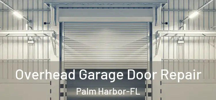  Overhead Garage Door Repair Palm Harbor-FL