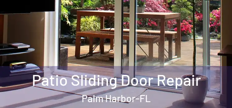  Patio Sliding Door Repair Palm Harbor-FL