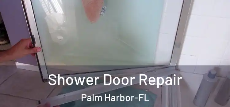  Shower Door Repair Palm Harbor-FL