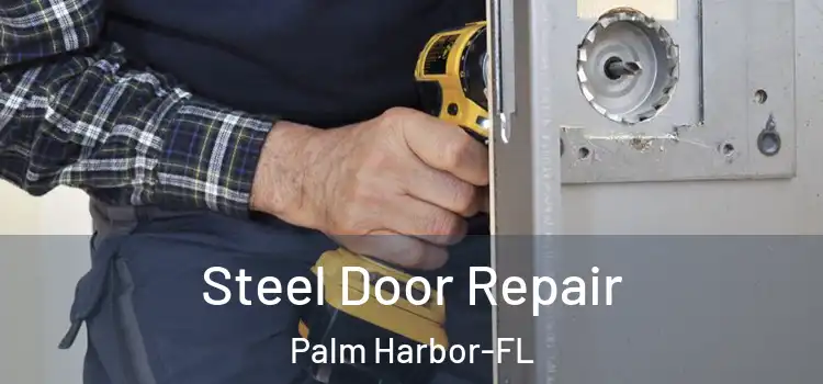  Steel Door Repair Palm Harbor-FL