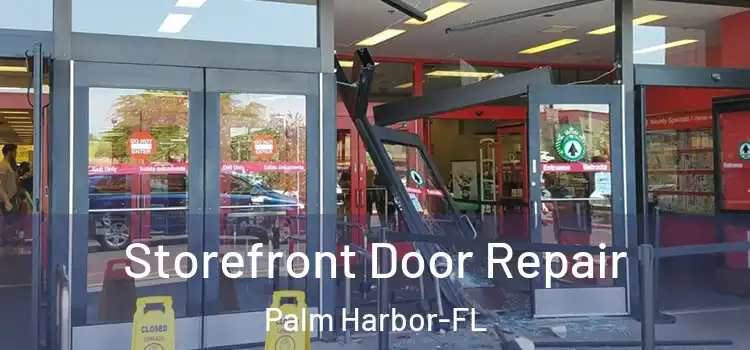  Storefront Door Repair Palm Harbor-FL